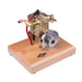 1.6cc Mini Water-cooled Single-cylinder 4-stroke Gasoline Engine Upgrade Internal Combustion Engine Model