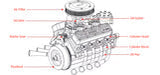 V8 Engine FS-V800WGPC 28cc OHV Gasoline Engine - Assemble Your Own V8 Engine - Functional V8 Engine Model Kit